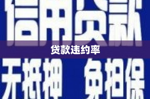 泾县贷款违约率