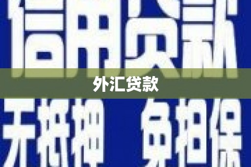 泾县外汇贷款