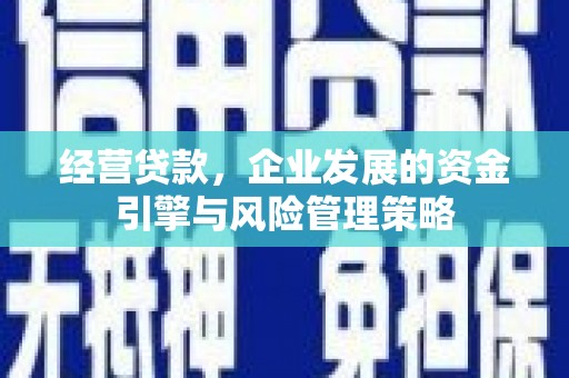 泾县经营贷款，企业发展的资金引擎与风险管理策略