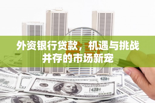 泾县外资银行贷款，机遇与挑战并存的市场新宠