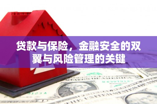泾县贷款与保险，金融安全的双翼与风险管理的关键