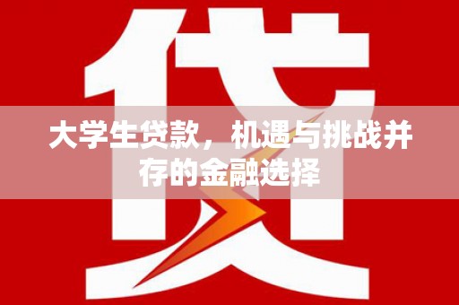 泾县大学生贷款，机遇与挑战并存的金融选择