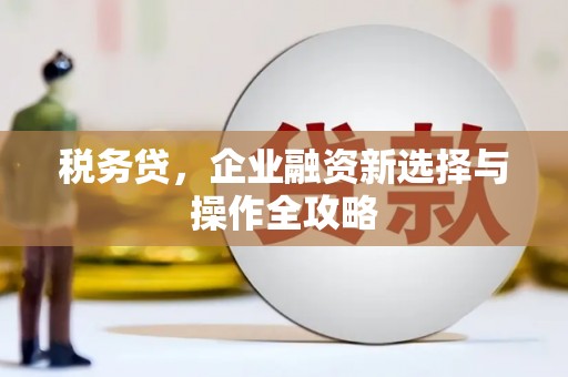 泾县税务贷，企业融资新选择与操作全攻略