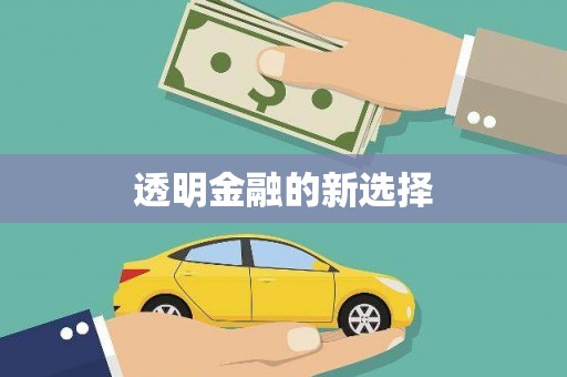泾县透明金融的新选择