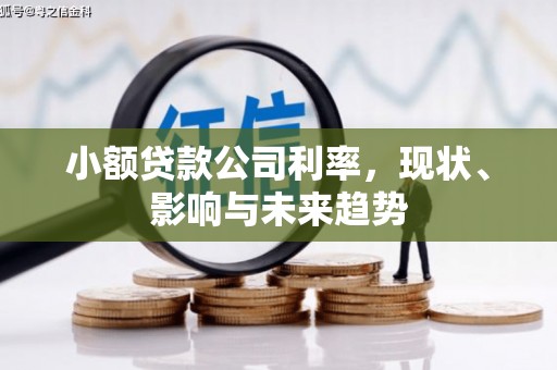 泾县小额贷款公司利率，现状、影响与未来趋势