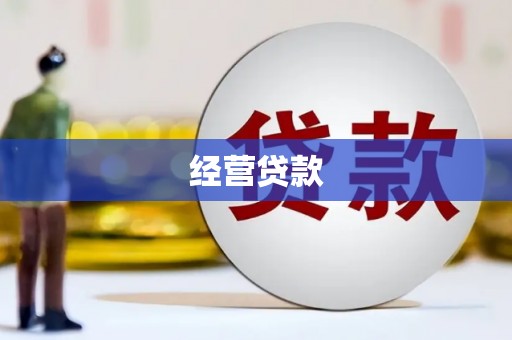 泾县经营贷款