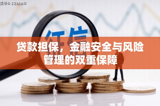 泾县贷款担保，金融安全与风险管理的双重保障