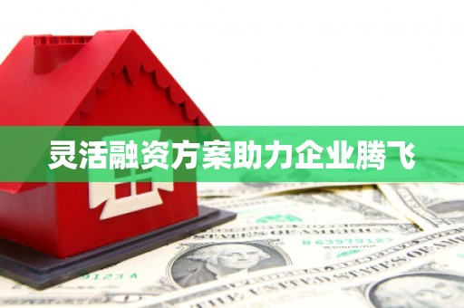 泾县灵活融资方案助力企业腾飞