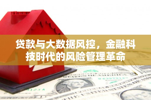 泾县贷款与大数据风控，金融科技时代的风险管理革命