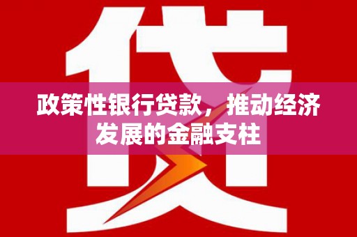 泾县政策性银行贷款，推动经济发展的金融支柱