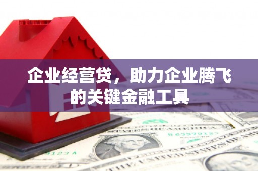 泾县企业经营贷，助力企业腾飞的关键金融工具