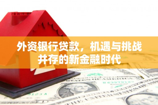 泾县外资银行贷款，机遇与挑战并存的新金融时代