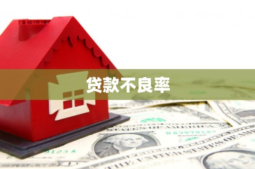 泾县贷款不良率