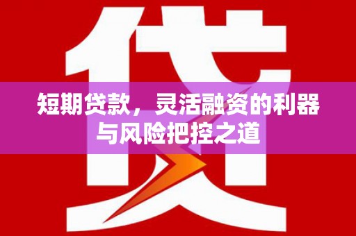 泾县短期贷款，灵活融资的利器与风险把控之道