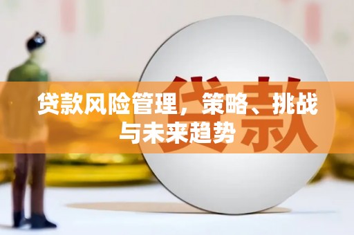 泾县贷款风险管理，策略、挑战与未来趋势
