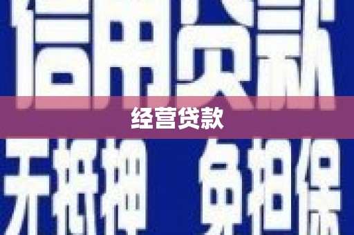 泾县经营贷款