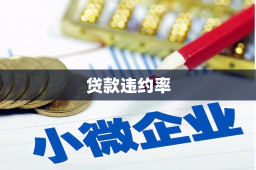 泾县贷款违约率