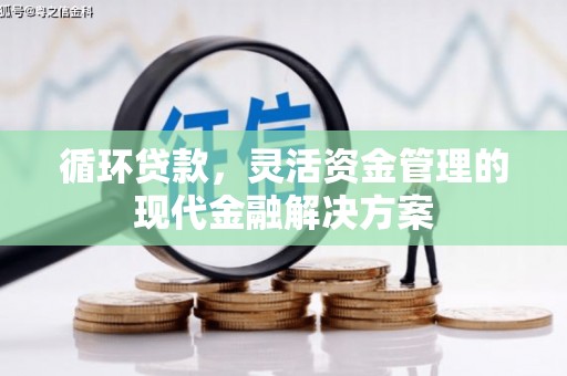泾县循环贷款，灵活资金管理的现代金融解决方案