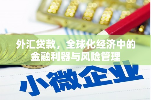 泾县外汇贷款，全球化经济中的金融利器与风险管理