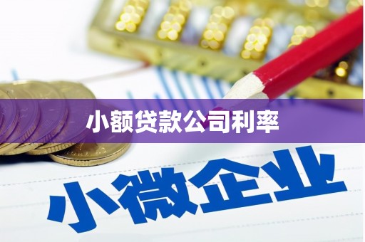 泾县小额贷款公司利率