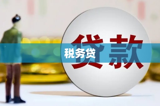 泾县税务贷