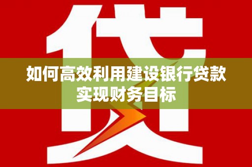 泾县如何高效利用建设银行贷款实现财务目标
