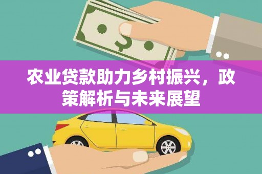 泾县农业贷款助力乡村振兴，政策解析与未来展望