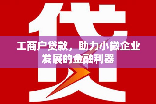 泾县工商户贷款，助力小微企业发展的金融利器