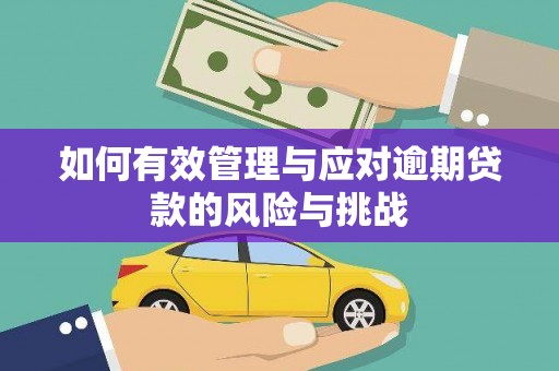 泾县如何有效管理与应对逾期贷款的风险与挑战