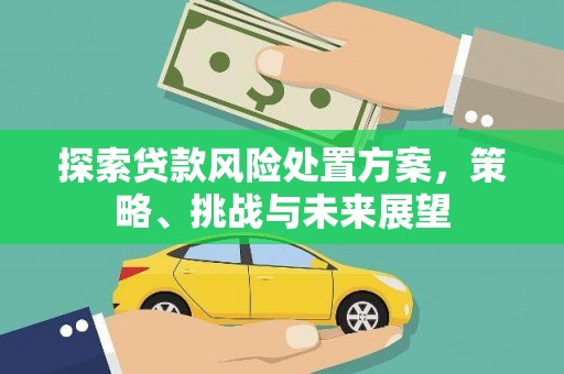 泾县探索贷款风险处置方案，策略、挑战与未来展望