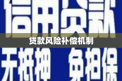泾县贷款风险补偿机制