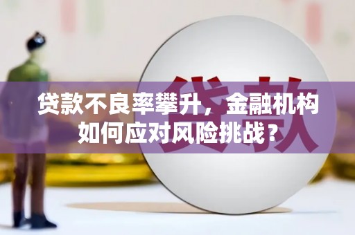 泾县贷款不良率攀升，金融机构如何应对风险挑战？