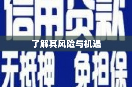 泾县了解其风险与机遇