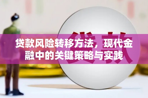 泾县贷款风险转移方法，现代金融中的关键策略与实践