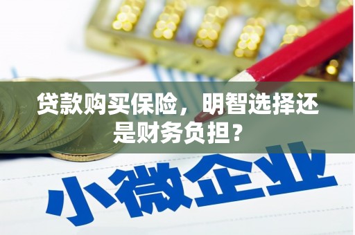泾县贷款购买保险，明智选择还是财务负担？