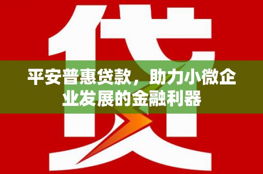 泾县平安普惠贷款，助力小微企业发展的金融利器
