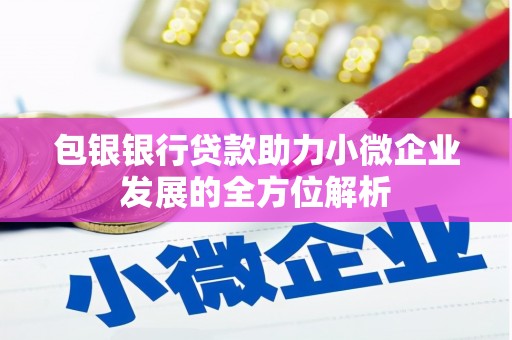 泾县包银银行贷款助力小微企业发展的全方位解析
