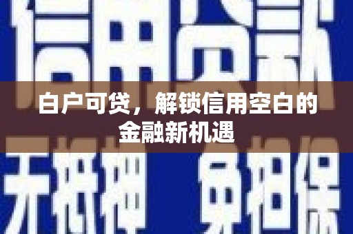 泾县白户可贷，解锁信用空白的金融新机遇