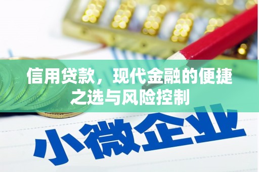 泾县信用贷款，现代金融的便捷之选与风险控制
