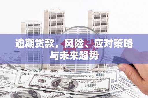 泾县逾期贷款，风险、应对策略与未来趋势