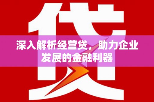 泾县深入解析经营贷，助力企业发展的金融利器