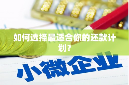 泾县如何选择最适合你的还款计划？