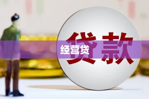 泾县经营贷