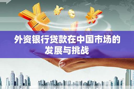 泾县外资银行贷款在中国市场的发展与挑战