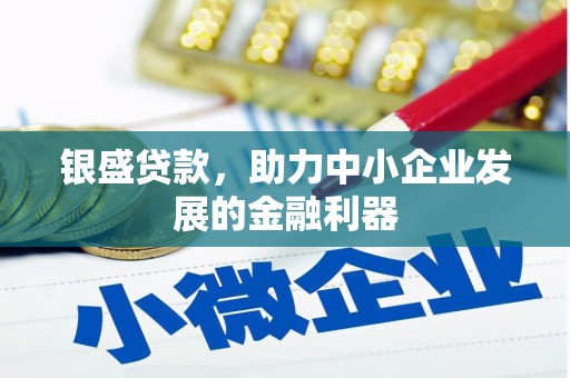 泾县银盛贷款，助力中小企业发展的金融利器