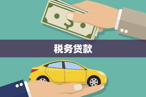 泾县税务贷款
