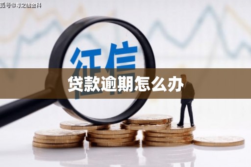 泾县贷款逾期怎么办