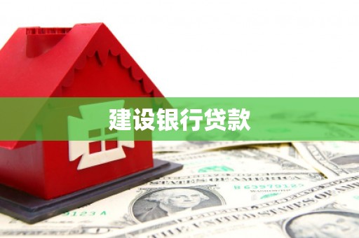 泾县建设银行贷款