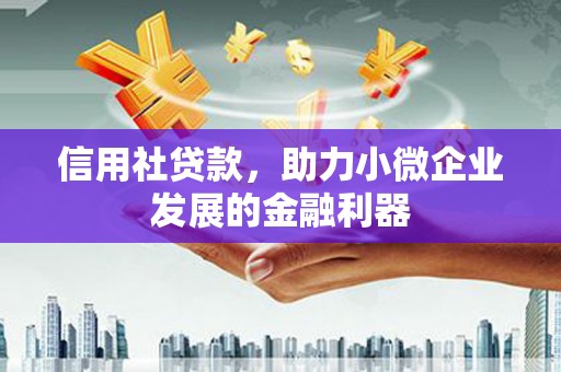 泾县信用社贷款，助力小微企业发展的金融利器