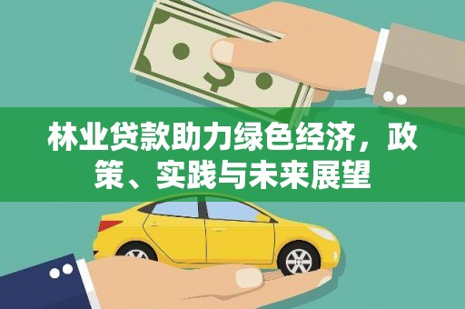 泾县林业贷款助力绿色经济，政策、实践与未来展望